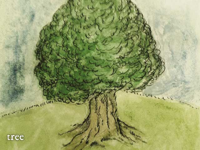 Mapleleaf Oak 