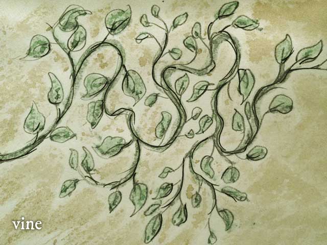 Natal Plum (Anechites nerium)